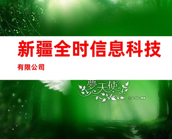 新疆全时信息科技有限公司